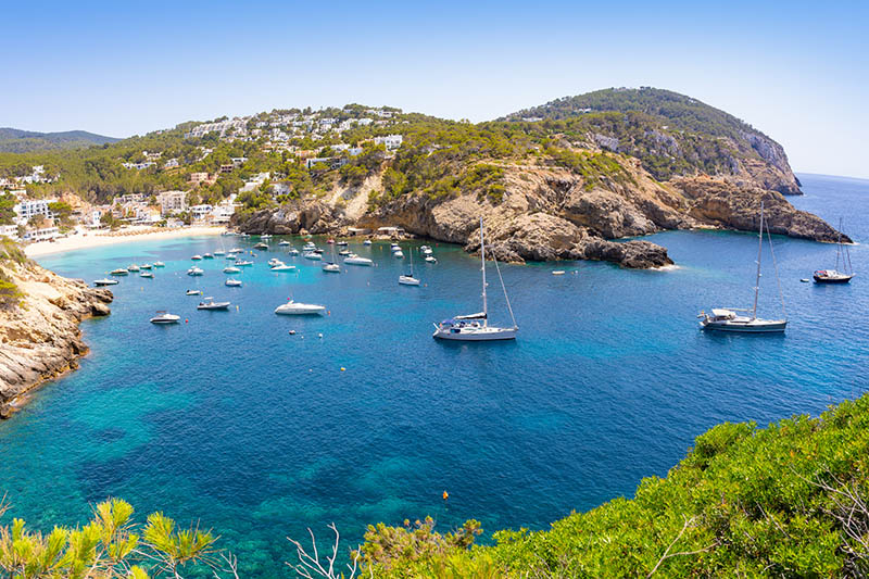 Meeresbucht auf der Insel Ibiza an einem sonnigen Sommertag unter wolkenlosen, strahlenden Himmel. In der Bucht ankern viele kleine weiße Boote. Im Hintergrund ist ein Strand mit einer kleinen Ortschaft zu sehen.