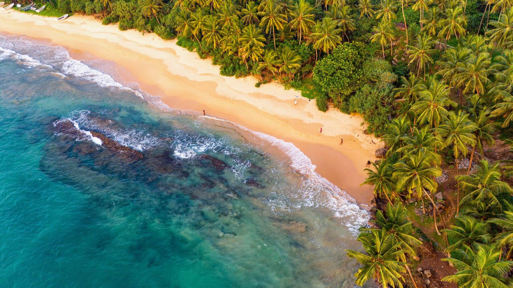 Sonnenuntergang am Strand von Sri Lanka Strand in Sri Lanka bei Sonnenuntergang mit Palmen.