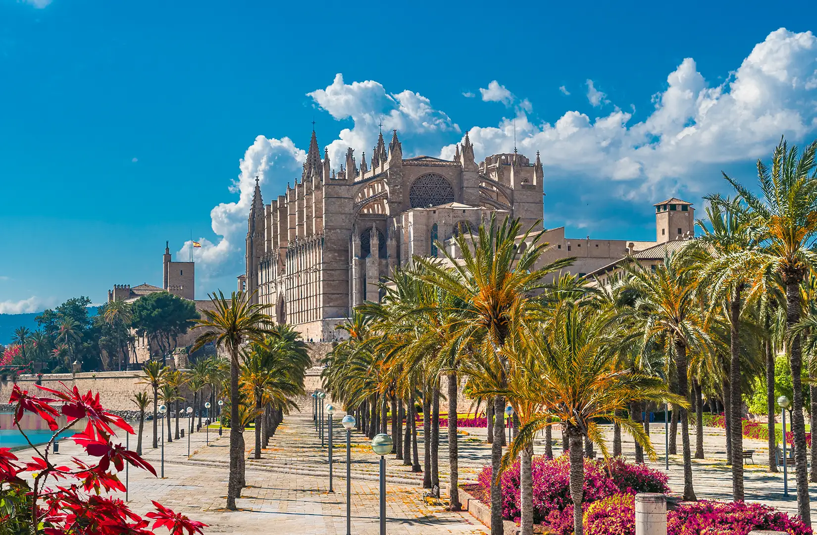 Blick auf die Kathedrale La Seu, ein Meisterwerk gotischer Architektur, in der Hauptstadt der balearischen Insel Mallorca.