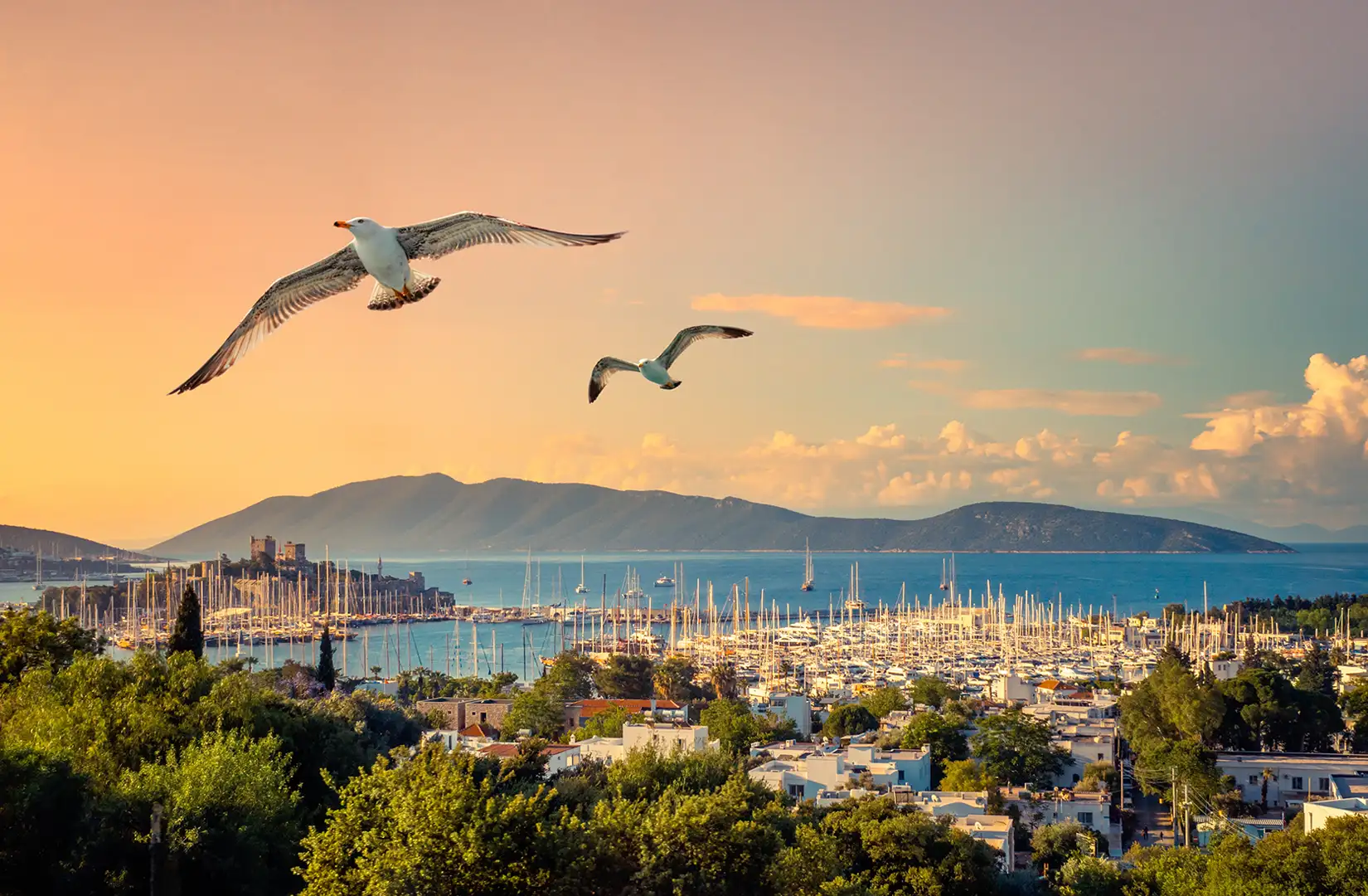 Blick auf die türkische Stadt Bodrum und deren Marina mit vielen Booten. Im Hintergrund ist die Burg zu sehen. Im Vordergrund fliegen zwei Möwen. 