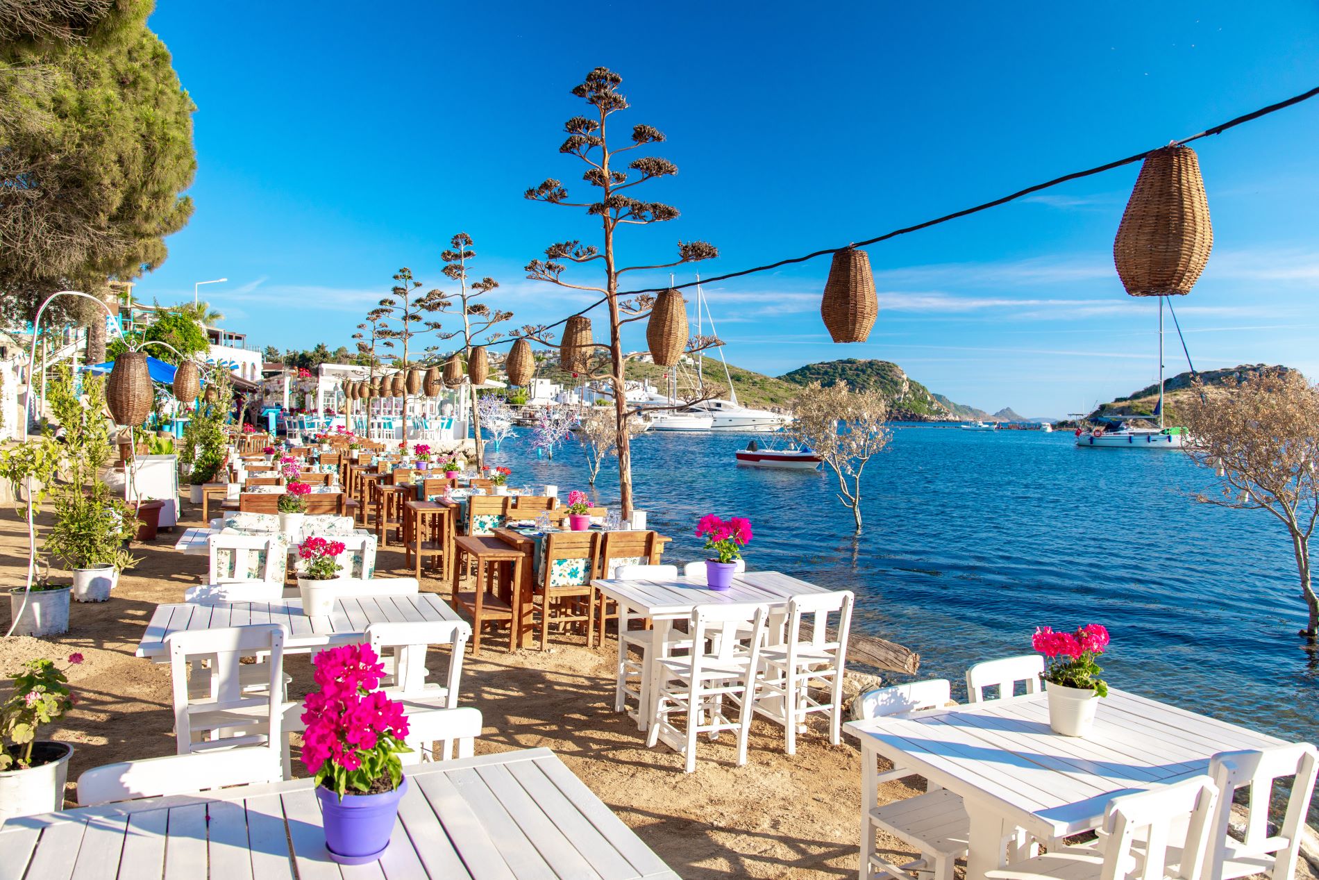 Blick auf ein Restaurant oder Café und Bougainvillea-Blüten am Strand in Gumusluk, Bodrum, Türkei.