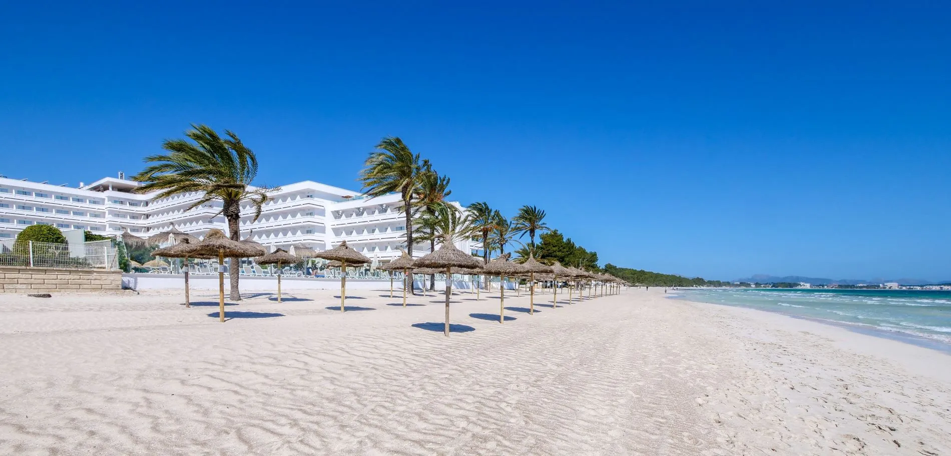 Hotel Condesa Banner Traumhafter Poolbereich im Hotel Condesa auf Mallorca, umgeben von Palmen und Sonnenterrassen – perfekte Urlaubsatmosphäre.